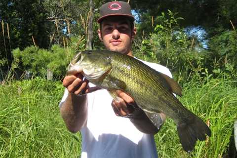 The Best Time To Bass Fish