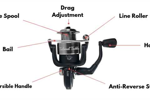 How to Use a Spinning Reel: Learn to Spool, Cast and Service a Reel