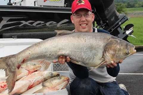 Fishing for Asian carp - How to catch bighead carp. Cooking silver carp.