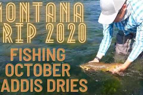 Catching October Caddis Eating Browns on the Missouri River w/ Mark Raisler - MT 2020 Trip Part 2