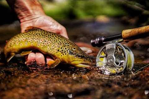 THE ESCAPE: A FLY FISHING FILM (Part 1)