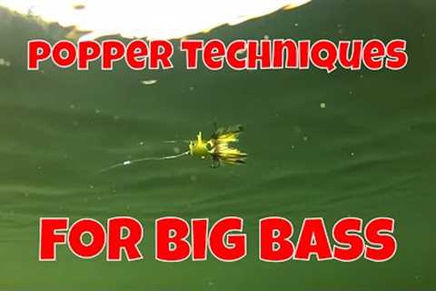 FLY FISHING TECHNIQUES FOR BIG BASS