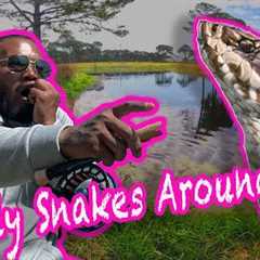 Surviving Deadly Snakes While Catching MONSTER Bass in Florida