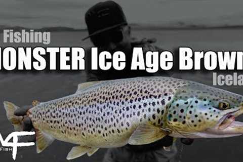 W4F - Fly Fishing Iceland Monster Ice Age Browns Þingvallavatn