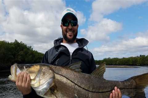 How to catch fish in tampa bay?