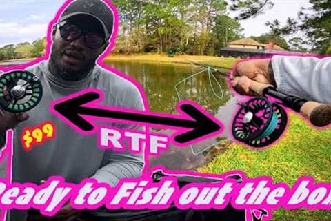 Bass On a Budget : Can a $99 Fly Reel Catch Fish???