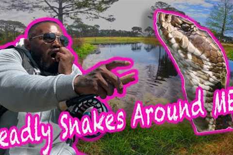 Surviving Deadly Snakes While Catching MONSTER Bass in Florida