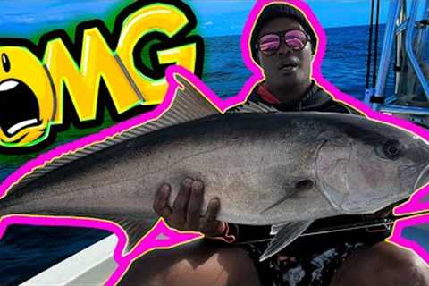 UNBELIEVABLE!! Epic BATTLE with Amberjack on the Fly bRod! | My Biggest Catch EVER!!!