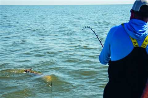 Black Drum Fishing in Delaware Bay