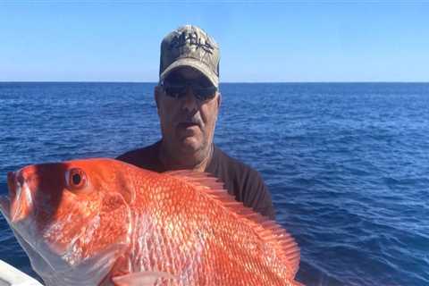 Reef Fishing Charters in South Padre Island TX