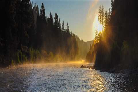 The Trout Were Loving the Big Dry Flies - Montana Trout Outfitters