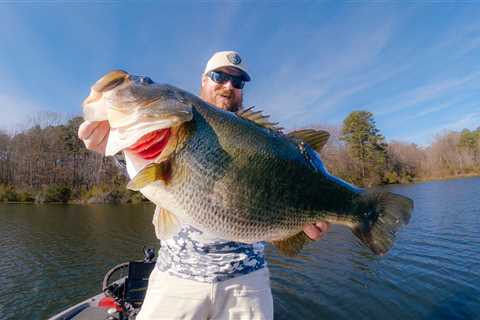 This Shallow Water Trick Catches GIANT Bass! (2 Bass For Over 20 lbs!!!)