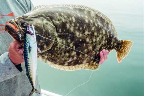 10 Reasons You Haven’t Caught a 10-Pound Doormat Fluke