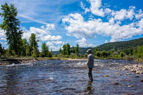 Missoula Dry Fly Fishing - Summer Season - Montana Trout Outfitters