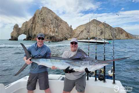 How to Go Marlin Fishing in Cabo San Lucas: An Angler’s Guide