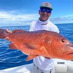 Epic Panama Fishing  : Quarter 1 2020