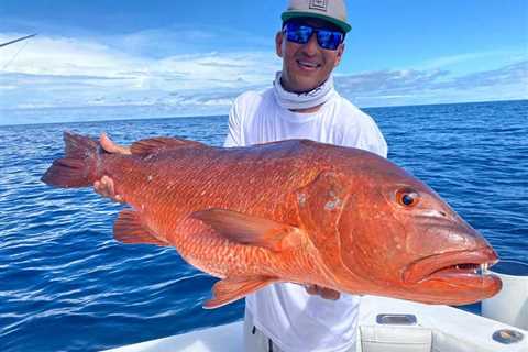 Epic Panama Fishing  : Quarter 1 2020