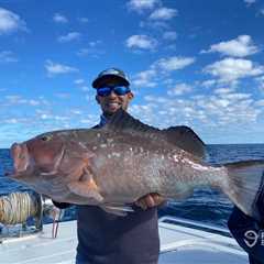 How to Go Grouper Fishing: An Angler’s Guide
