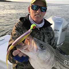 The Best Striped Bass Baits: An Angler’s Guide