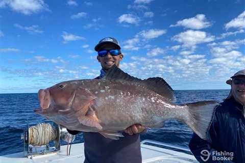 How to Go Grouper Fishing: An Angler’s Guide