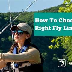 How To Choose the Right Fly Line for You