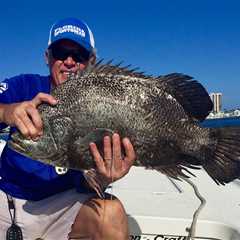 How to Go Tripletail Fishing: An Angler’s Guide