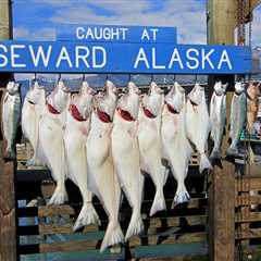 Halibut Fishing in Seward Alaska: The Complete Guide