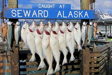 Halibut Fishing in Seward Alaska: The Complete Guide