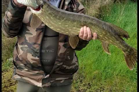 River comes up trumps for Limerick Pike Anglers