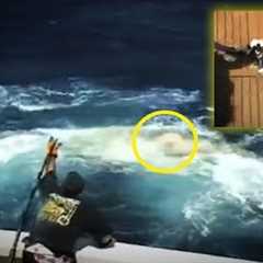 5 Unbelievable Fishing Moments Caught On Camera & Spotted In Real Life!