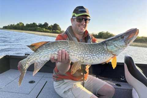 PB pike to 115cm and perch on dropshot