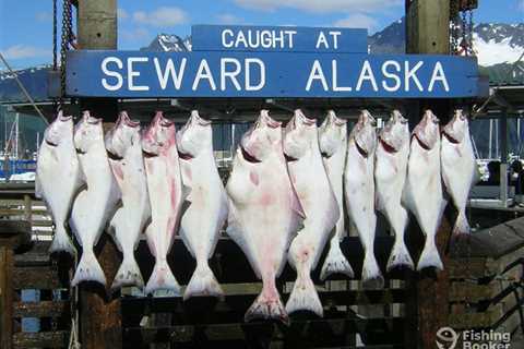 Halibut Fishing: An Angler’s Guide