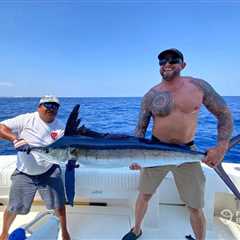 How to Go Blue Marlin Fishing: The Complete Guide