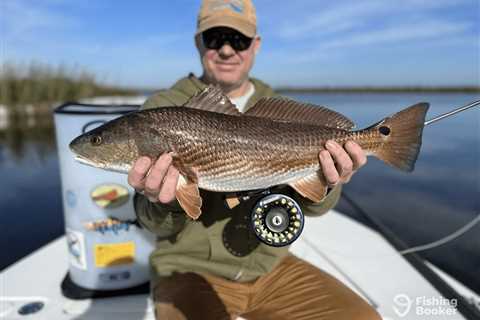 How to Go Redfish Fly Fishing: The Complete Guide