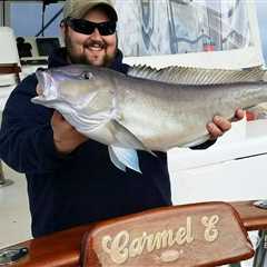How to Go Fishing for Tilefish: The Complete Guide
