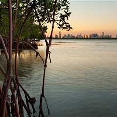 FWC Suggests Changes to Protect Bonefish in Biscayne Bay National Park