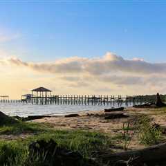 Jubilee Fishing in Mobile Bay: The Complete Guide for 2025