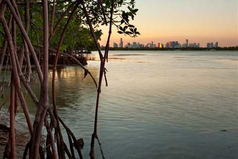 FWC Suggests Changes to Protect Bonefish in Biscayne Bay National Park