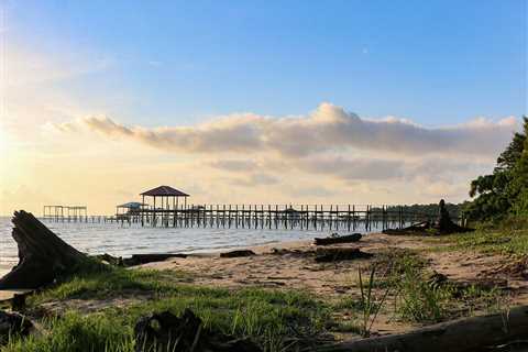 Jubilee Fishing in Mobile Bay: The Complete Guide for 2025