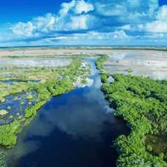 Summer Fishing in the Everglades: A First-Hand Account for 2025
