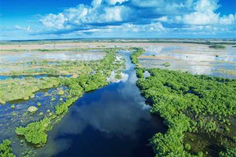 Summer Fishing in the Everglades: A First-Hand Account for 2025