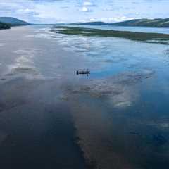 Fishing in Lake Guntersville, AL: A Local’s Practical Guide for 2025