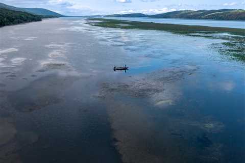 Fishing in Lake Guntersville, AL: A Local’s Practical Guide for 2025