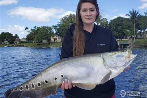 How to Go Fishing for Clown Knife Fish: The Complete Guide