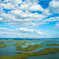 The Ten Thousand Islands Fishing: A Local Angler’s Guide for 2025
