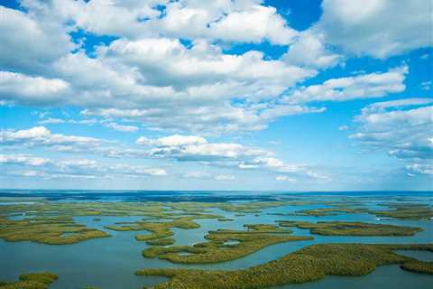 The Ten Thousand Islands Fishing: A Local Angler’s Guide for 2025