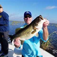 FWC Stocks Florida Bass and Yellow Perch to Help Habitat and Fish Population Restoration