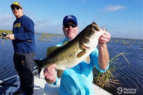 FWC Stocks Florida Bass and Yellow Perch to Help Habitat and Fish Population Restoration
