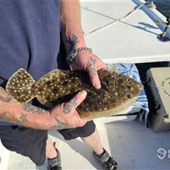 Flounder Season in Florida: The Complete Guide for 2026