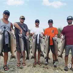 California Salmon Fishing Seasons: An Expert Guide to Regions and Species for 2026